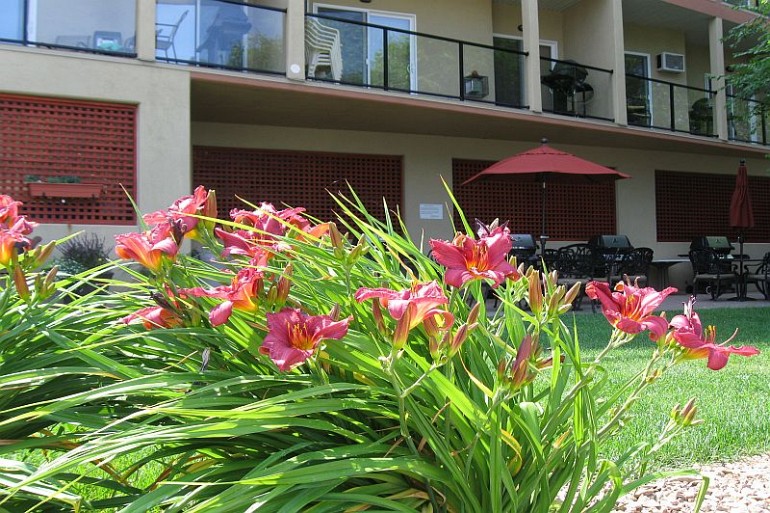 91_beach front patio with flowers resized Our Beachfront Patio Gallery Image